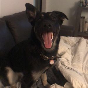 Meet your Posher, Veronique